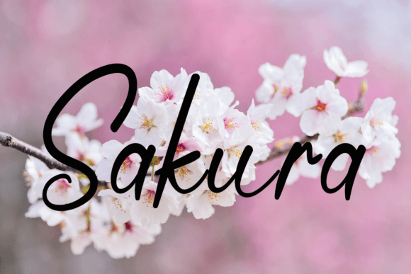 Cactus Font - Preview 3