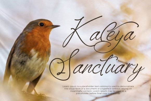 Kaleagnetta Font - Preview 1