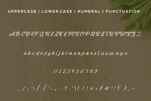 Madeylan Font PNG with transparent background - Preview 4