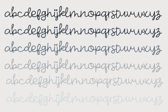 Bookish Font - Preview 4