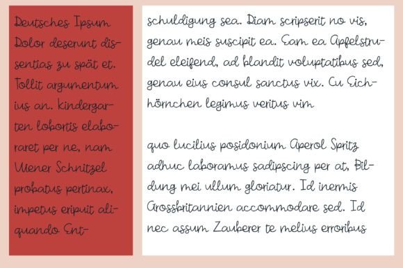 Bookish Font - Preview 6