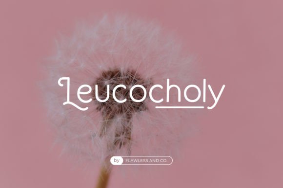 Camello Font - Preview 3