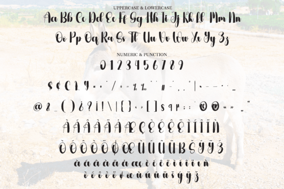 Donkey Font - Preview 6