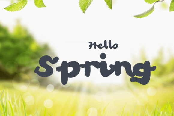 Picnic Spring Font PNG with transparent background - Preview 2