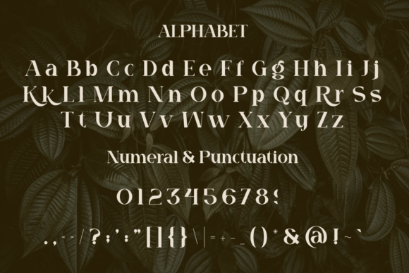 Quagi Font PNG with transparent background - Preview 1