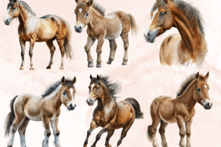 28 PNG Watercolor Horse Clipart Bundle Graphic by giraffecreativestudio ...