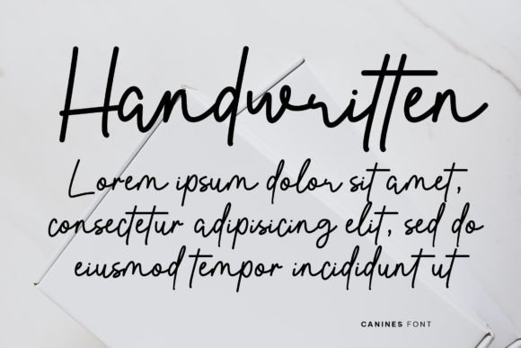 Canines Font - Preview 3