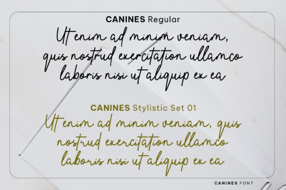 Canines Font - Preview 4