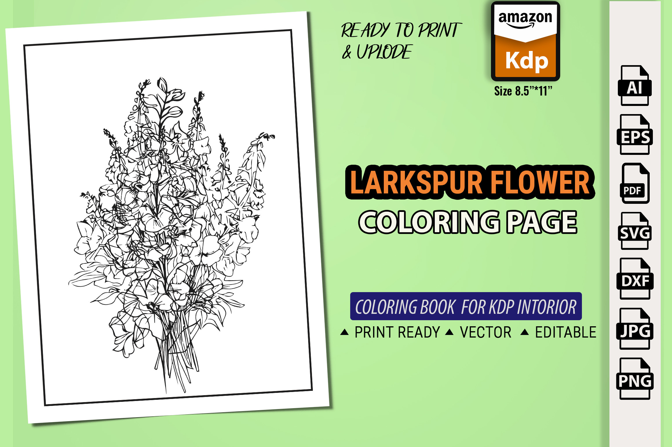 Delphinium Botanical Line Drawing Vector