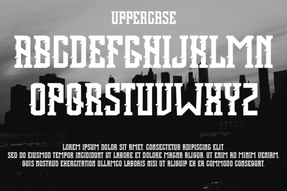 Black City Font - Preview 1