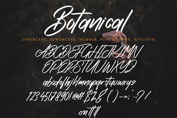 Botanical Font - Preview 6