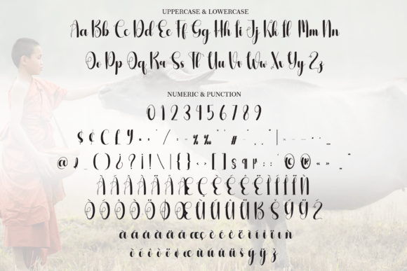 Buffalo Font - Preview 4
