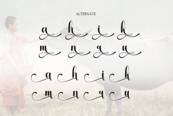 Buffalo Font - Preview 5