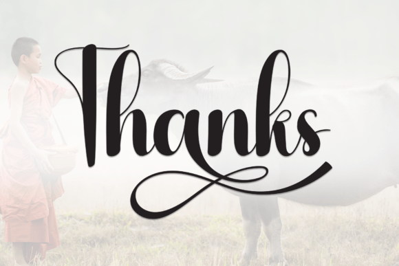 Buffalo Font - Preview 6