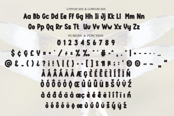 Dragonfly Font - Preview 5