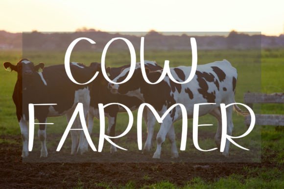 Farmhouse Font - Preview 2