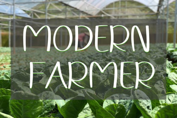 Farmhouse Font - Preview 3