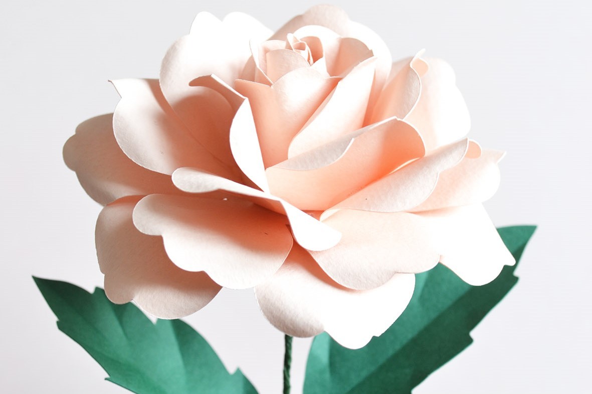Garden Rose Paper Flower Template realistic SVG Cricut wedding décor gift