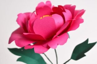 Peony Paper Flower · Creative Fabrica