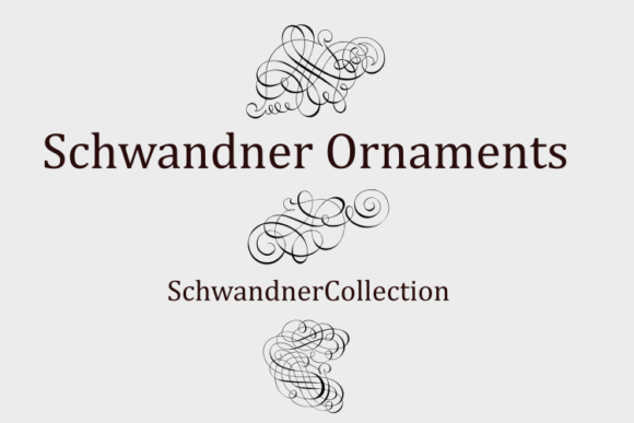 Schwandner Font PNG with transparent background - Preview 2