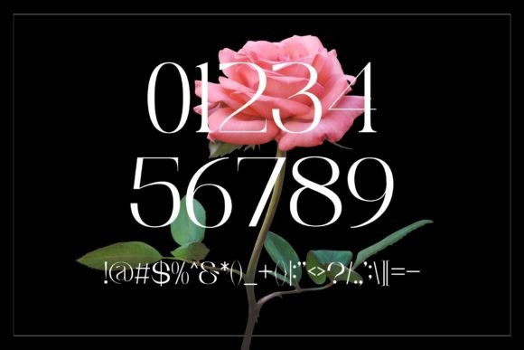 Bemirs Font - Preview 5