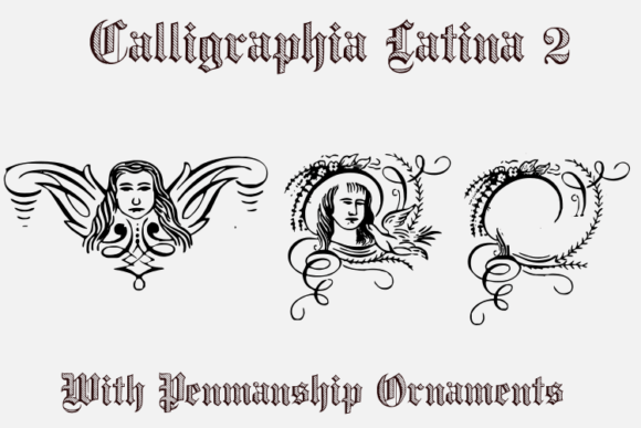 Calligraphia Latina 2 Font PNG with transparent background - Preview 2
