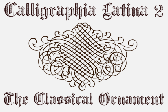 Calligraphia Latina 2 Font - Preview 4