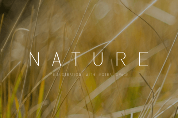 Loreyna Font PNG with transparent background - Preview 1