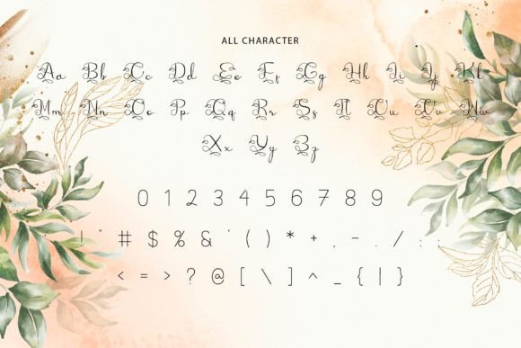 Amanda Font - Preview 4
