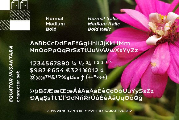 Equator Nusantara Font - Preview 6