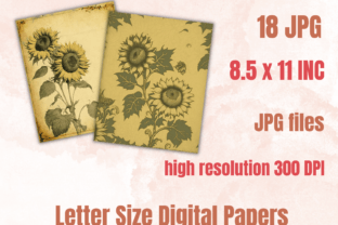 Vintage Sunflower Digital Paper Pack Graphic by giraffecreativestudio ...