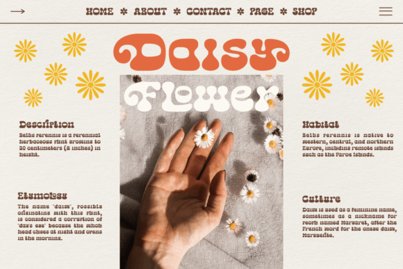 Aprilia Daisy Font - Preview 2