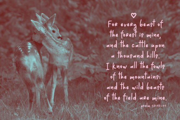 Dear Deer Font - Preview 3