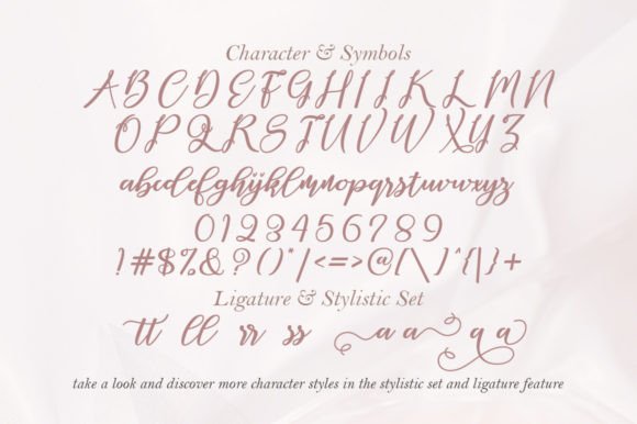 Ambelia Script Font - Preview 6