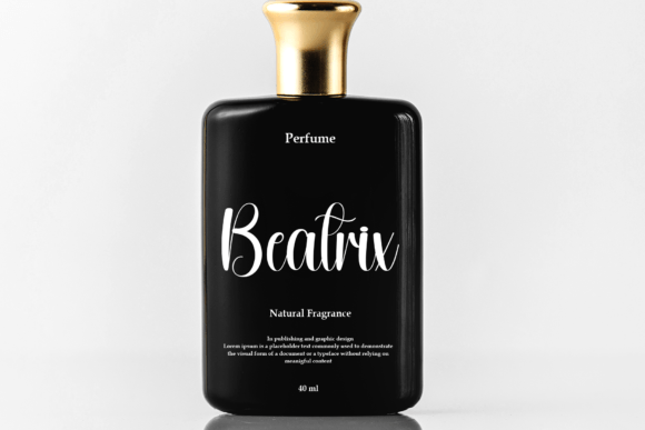 Beginning Font - Preview 3