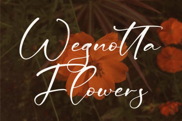Ceesenetta Font - Preview 1