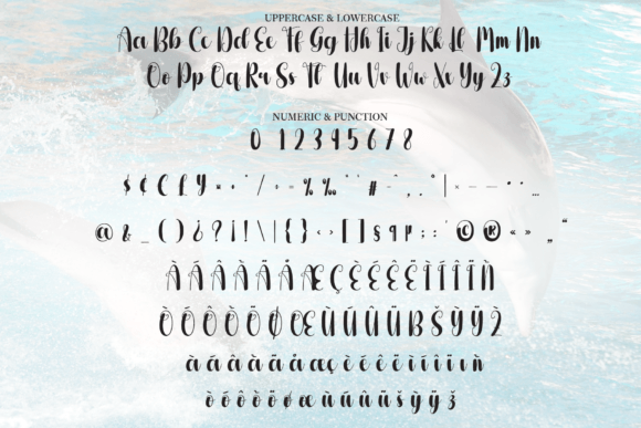 Dolphin Font - Preview 6
