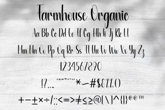 Farmhouse Organic Font - Preview 4