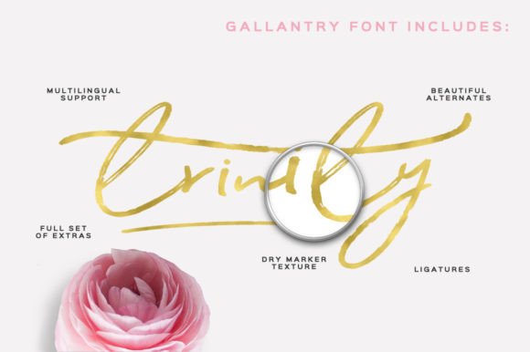 Gallantry Font - Preview 3