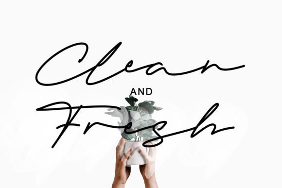 Gils Cadyla Font PNG with transparent background - Preview 3
