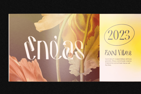 Hausser Modern Display Font - Preview 3