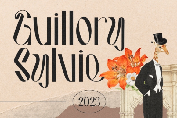 Hausser Modern Display Font - Preview 4