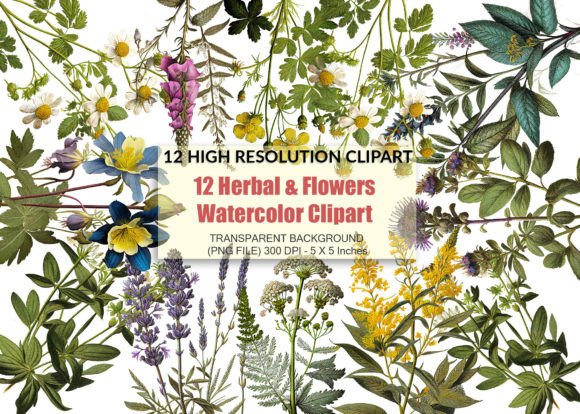 12 Plumeria Flower Clipart PNG Graphic by printztopbrand · Creative Fabrica