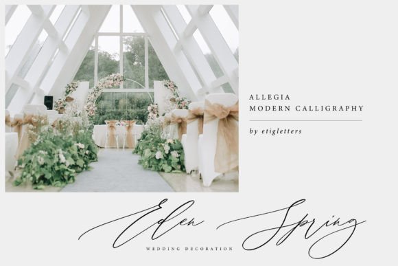 Allegia Font - Preview 2
