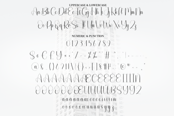 Height Font - Preview 6