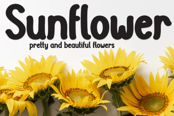 Natural Coffee Font PNG with transparent background - Preview 4