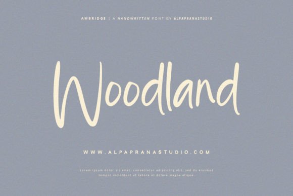 Ambridge Font - Preview 3