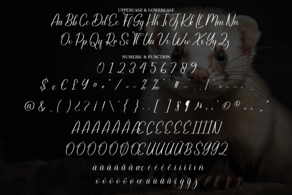 Badgers Font - Preview 6