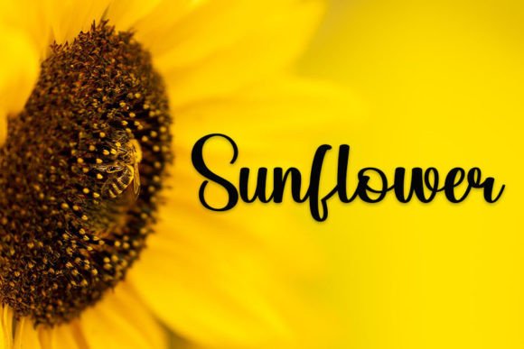 Beehive Font - Preview 3