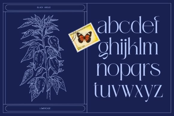 Black Aroug Font - Preview 3